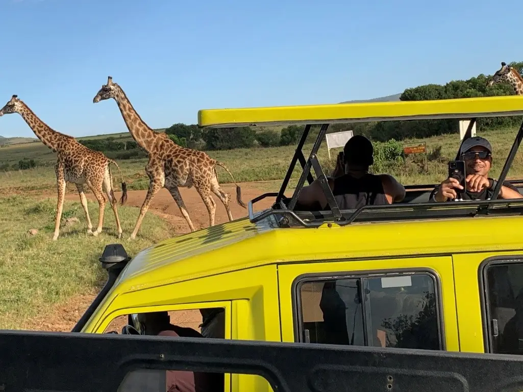 Maasai Mara Safari by Africa Is Open Tour